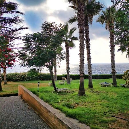 King Alexander Villa 22 بافوس المظهر الخارجي الصورة
